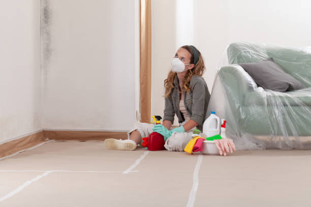 Reliable Mold Inspection contractor in Deer Park, WA by WQB Mold Removal
